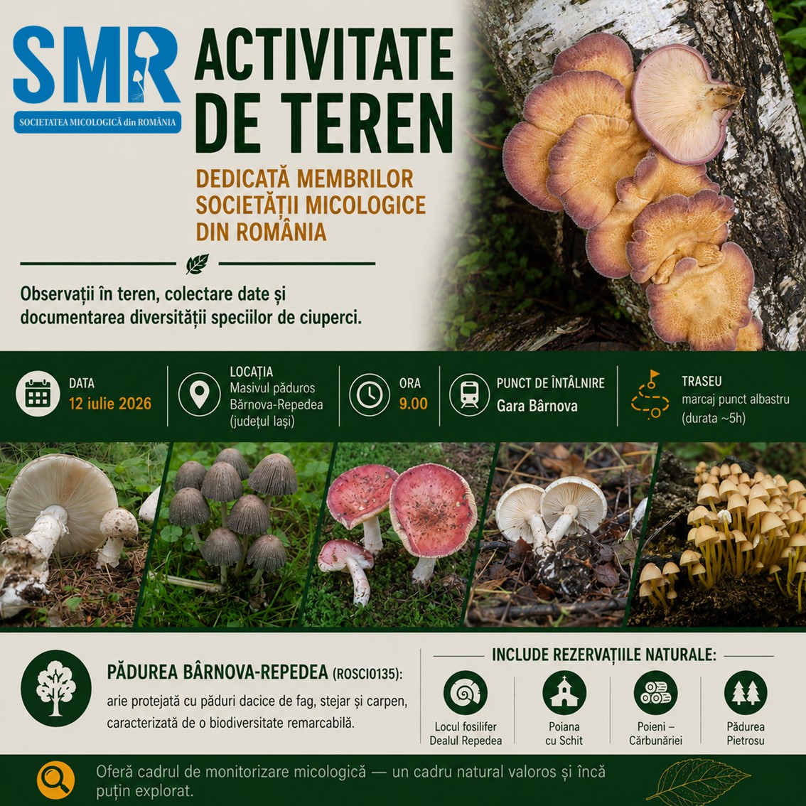 Activitate de teren micologică - 12 iulie 2026